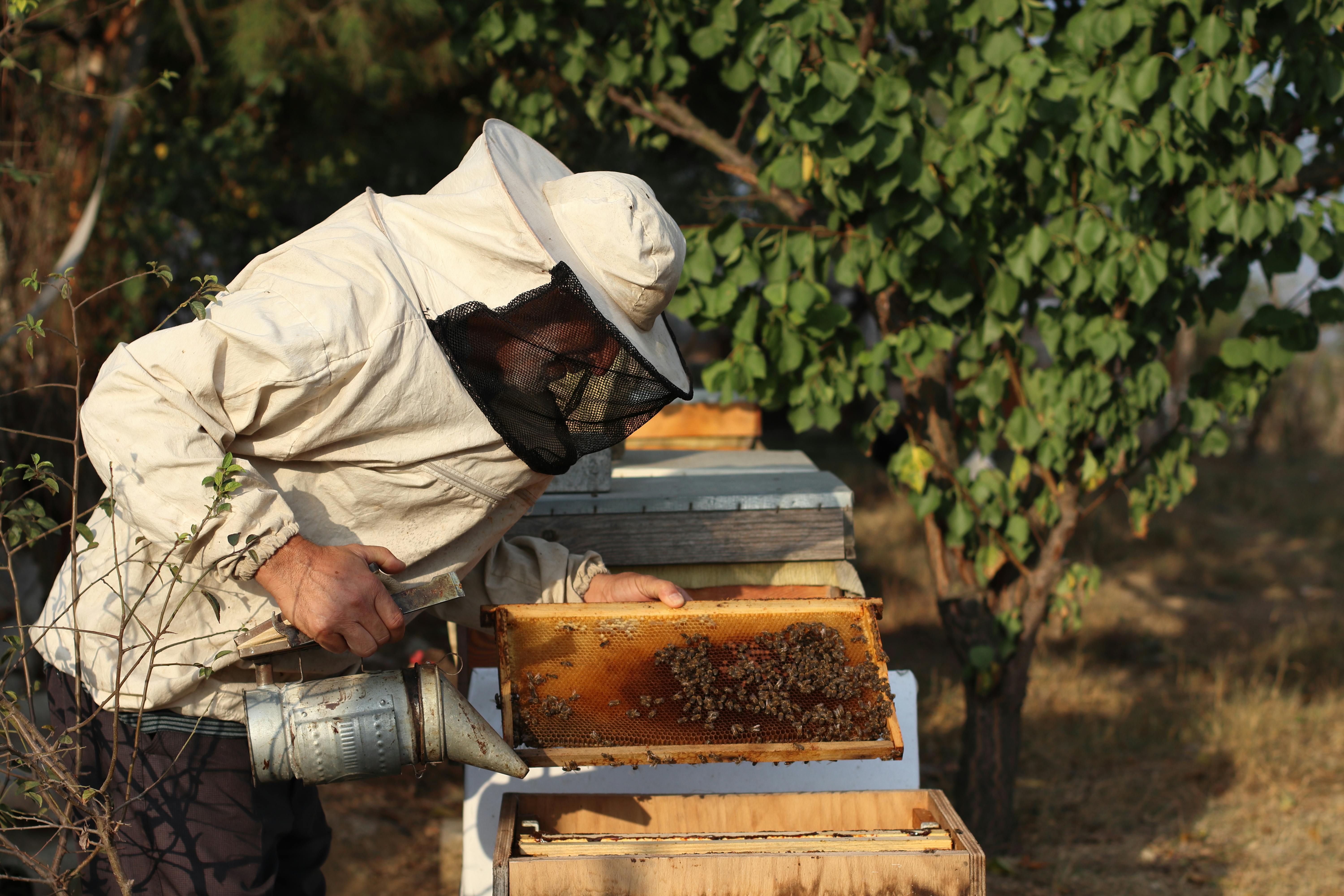 Agriculture biologique